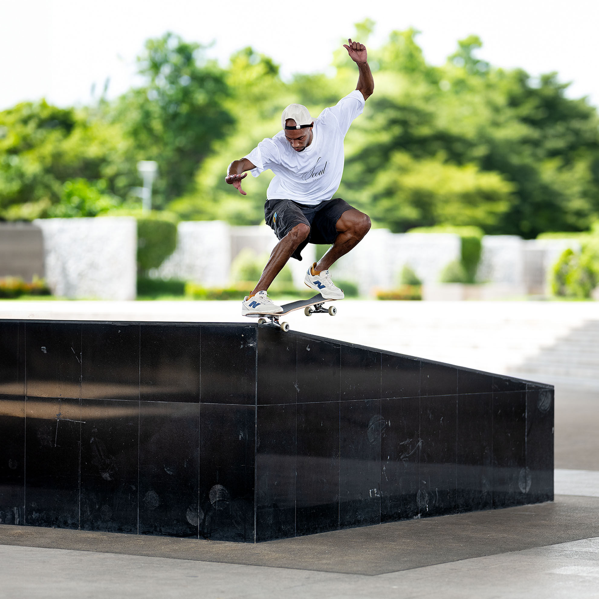 Dickies skate shoes big 5 new arrivals